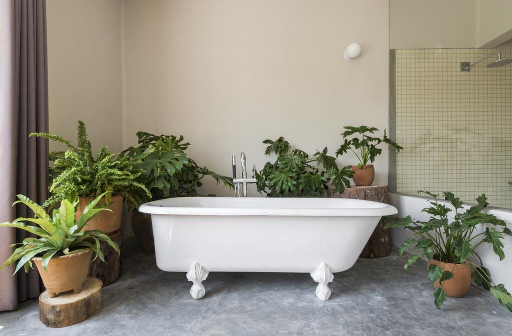 Chaya B&B Boutique Mexico City Ngoại thất bức ảnh
