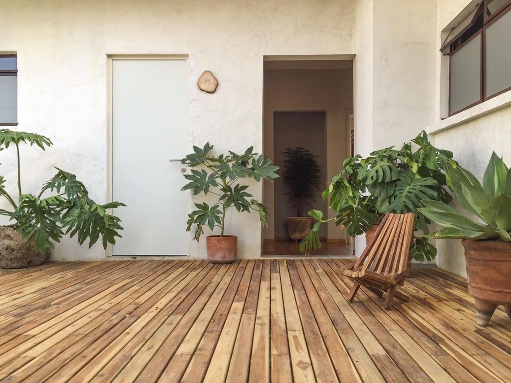 Chaya B&B Boutique Mexico City Ngoại thất bức ảnh