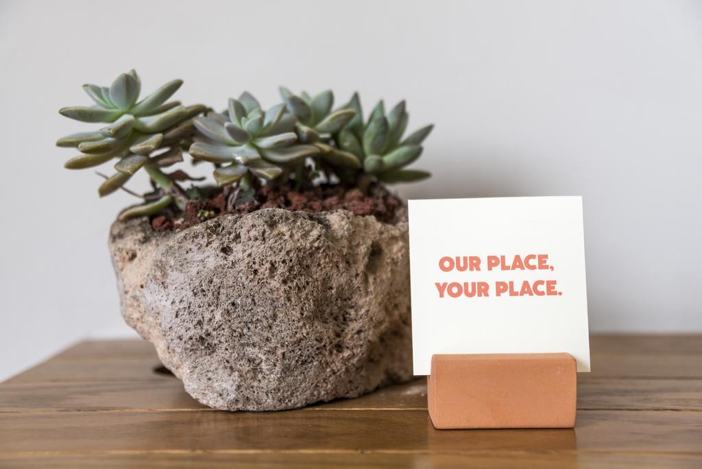 Chaya B&B Boutique Mexico City Ngoại thất bức ảnh
