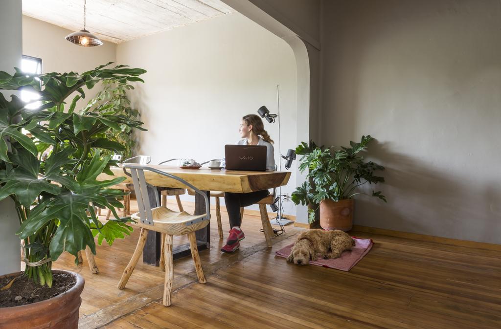 Chaya B&B Boutique Mexico City Ngoại thất bức ảnh